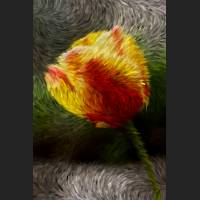 IMG_7338_Brush_Engine_Van_Gogh.jpg